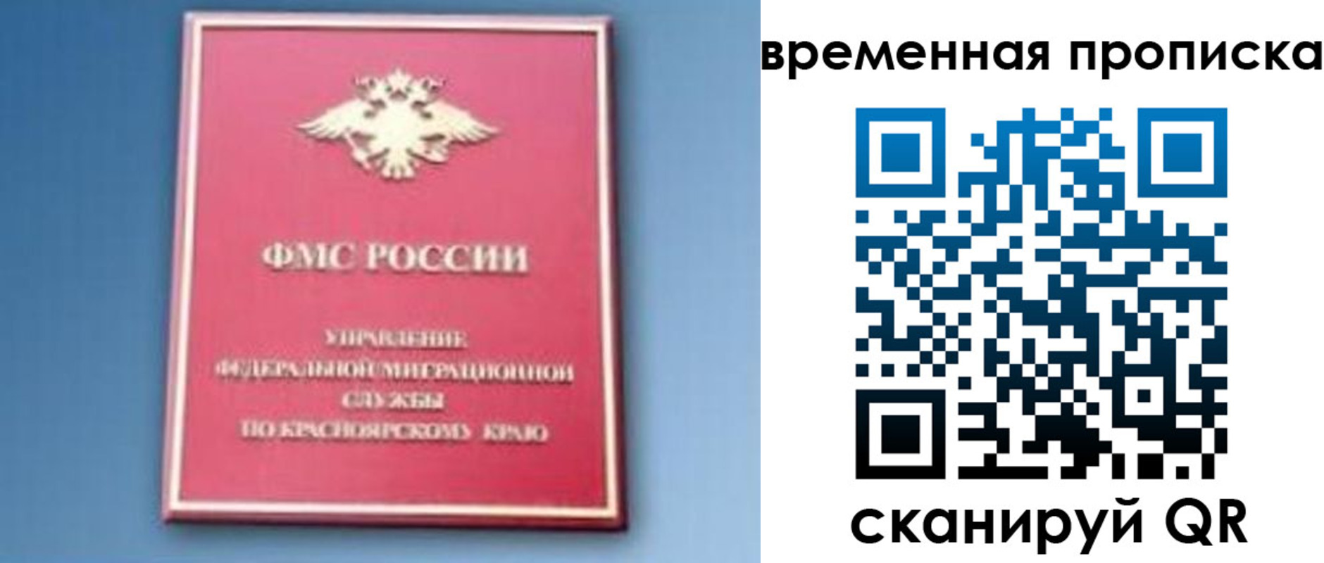 временная регистрация поиск в Донском